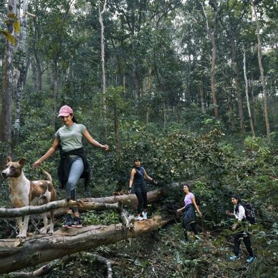 Trekking-